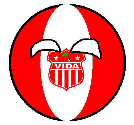 VIDABall2